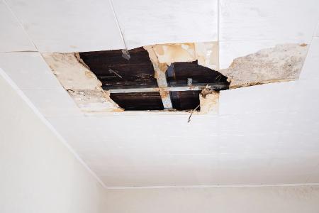 Fire & Water Damage